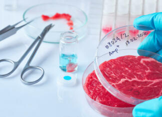 Meat sample in open disposable plastic cell culture dish in modern laboratory or production facility. Concept of cultured meat, cellular agriculture, slaughter-free eco friendly concept.