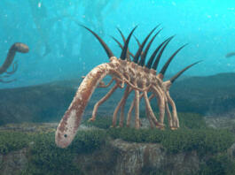paleoart panorama image, early under water life forms
