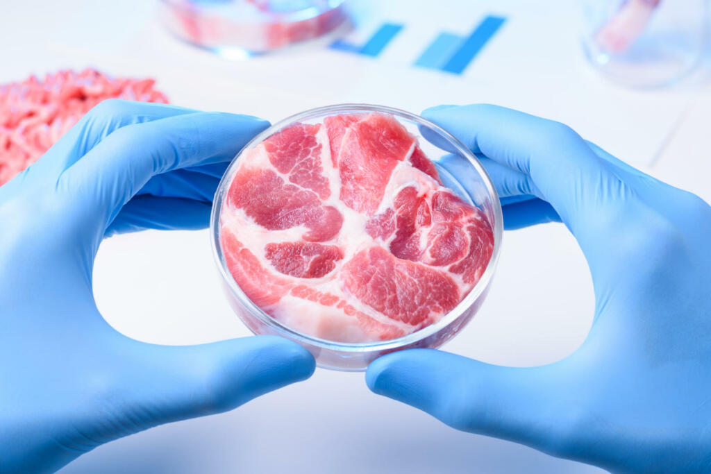 Raw meat sample in laboratory Petri dish. Cultured lab grown meat or meat examination concept.