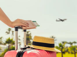 Roka drži kovček, na katerem je klobuk, v ozadju pristaja letalo