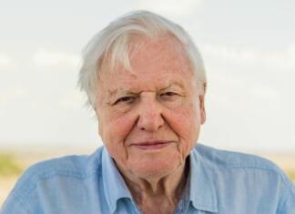 Prihaja vizualna izkušnja z Davidom Attenboroughom David Attenborough