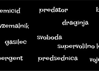 Znane finalistke za besedo leta 2022 Finalistke za besedo leta 2022