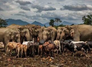 Najboljše fotografije leta 2022 (GALERIJA) Najboljše fotografije leta 2022