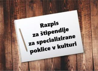 Objavljen razpis za štipendije za specializirane poklice v kulturi Razpis za štipendije za specializirane poklice v kulturi