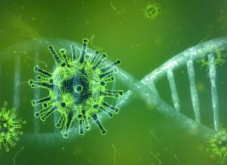 Zombi virus: V Sibiriji najdeni novi zombi virusi coronavirus, corona virus, covid-19