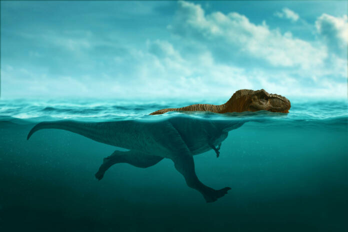 Dinosaur 3d rendering, Tyrannosaurus Rex swimming