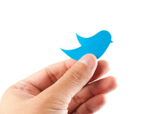 Hand holding a bluebird