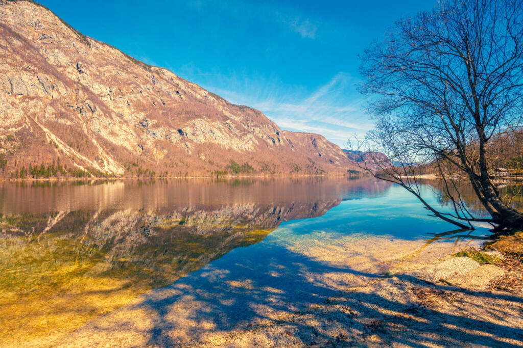 Mountain lake with beautiful reflection. Lake Bohinj in early spring. Triglav national park, Slovenia