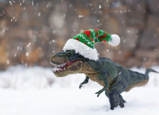 Polarni dinozavri: So dinozavri živeli v snegu? Realistic toy Tyrannosaurus Rex in a small Christmas hat in the snow during a snowfall on the background of a stone wall
