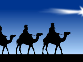 the three magi, magi, mags