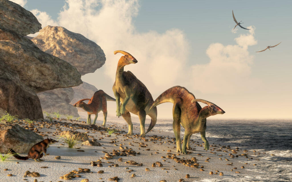 Three parasaurolophus stand on a rock beach.  Pterasaurs fly over head and a small mammal watches the dinosaurs as they meander along the water's edge. 3DRendering