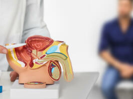 Urologist consultation for male patient. Urology and andrology, treatment of men's diseases and prostatitis