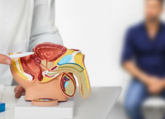 Algoritem, ki predvidi tveganje za raka prostate Urologist consultation for male patient. Urology and andrology, treatment of men's diseases and prostatitis