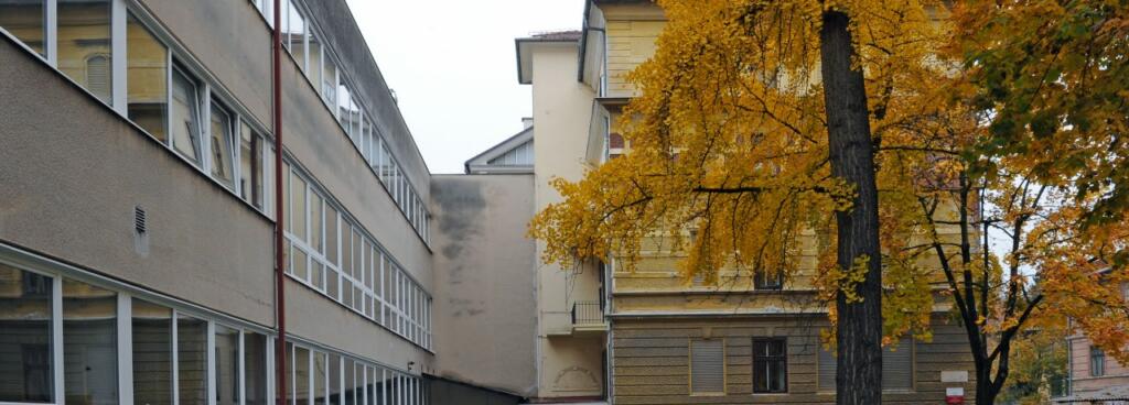 Akademija za likovno umetnost in oblikovanje