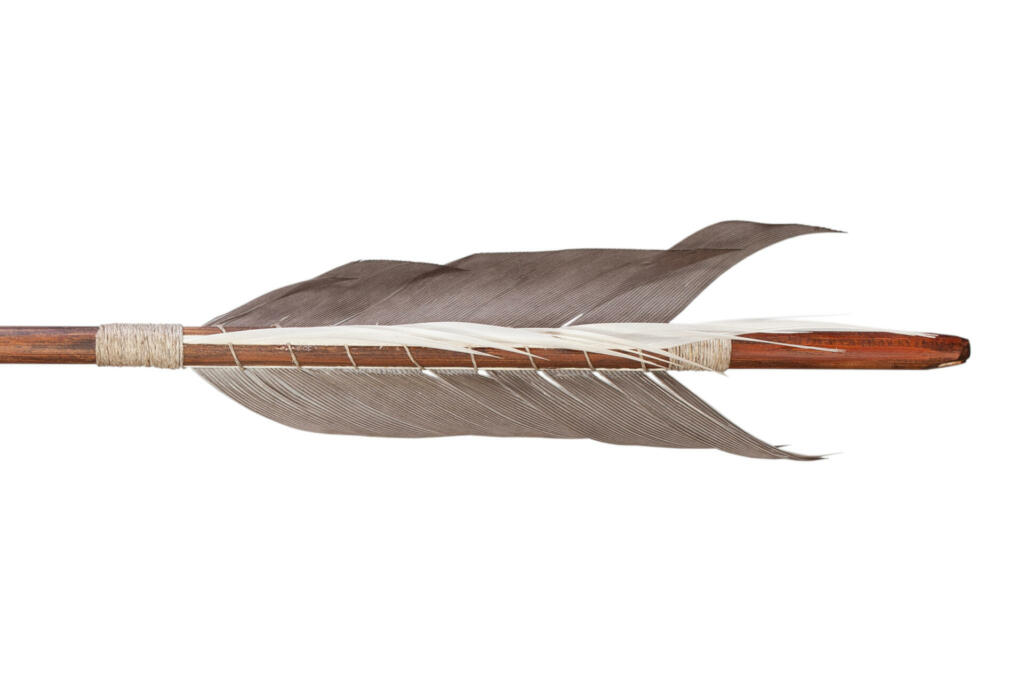 Feather fletching of traditional target arrow isolated on white background.