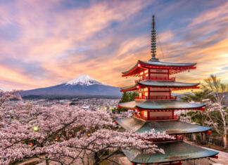 Odprt je razpis za štipendije na Japonskem Fujiyoshida, Japan at Chureito Pagoda and Mt. Fuji in the spring with cherry blossoms.