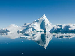 Icebergs drift in calm seas off the Greenland coast.