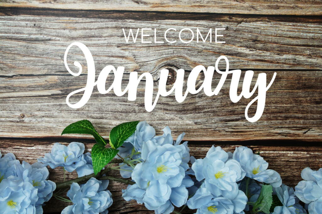 Welcome January typography text with blue flowers on wooden background
