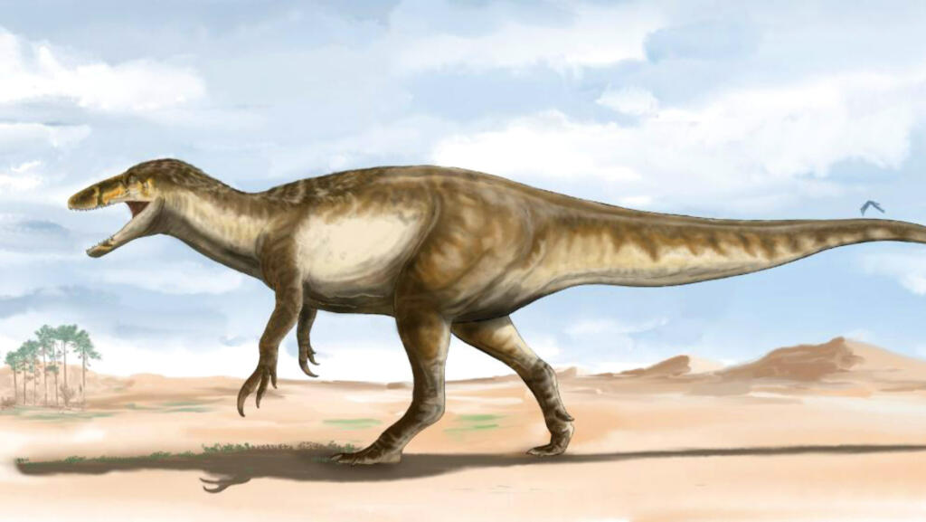 V Patagoniji najden največji Megaraptor v zgodovini