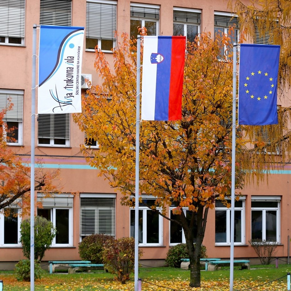 Šolski center Ravne na Koroškem, Višja strokovna šola