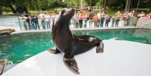 ZOO Ljubljana