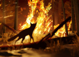 Smo na poti do še enega množičnega izumrtja? A fox watches on while escaping a forest fire which is destroying wild natural habitiat. Climate change and ecological issues 3D illustration concept.