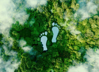 So se pokazale prve hude posledice reševanja podnebne krize? A lake in the shape of human footprints in the middle of a lush forest as a metaphor for the impact of human activity on the landscape and nature in general. 3d rendering.