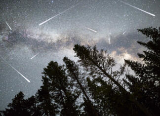Meteoriti razkrili izvor določenih kemikalij našega planeta A view of a Meteor Shower and the Milky Way with a pine trees forest silhouette in the foreground. Night sky nature summer landscape. Perseid Meteor Shower observation.