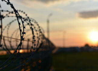 Pobeg zapornika, ki je oponašal ovco barbed wire fence on the fence on sunset background