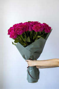 Beautiful bouquet of pink long roses in a green package in the hands of a woman on a white background.