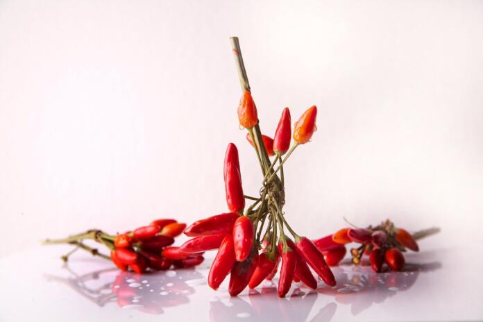 chili, seasoning, chilli pods