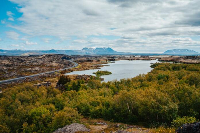 jezero in rastlinje v ospredju