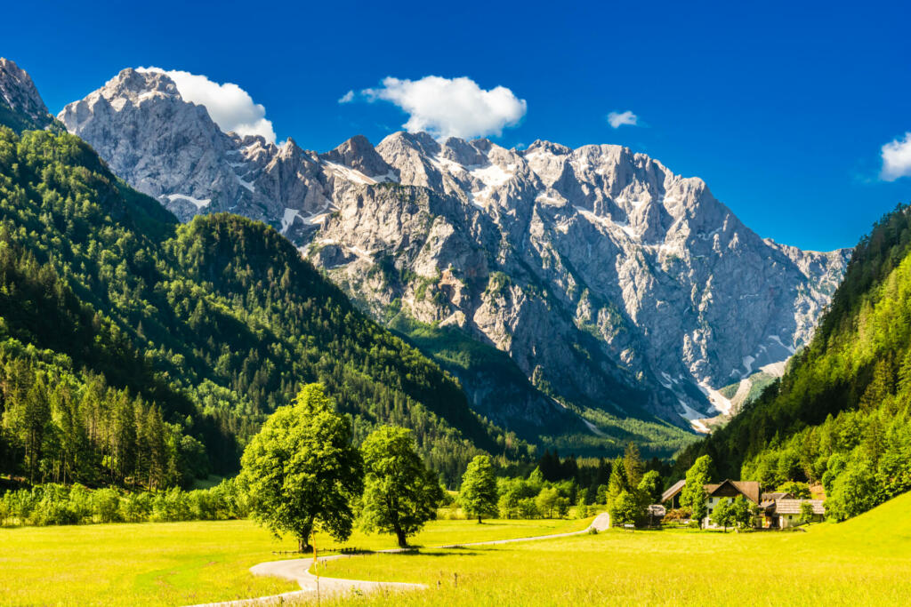 zelen travnik in zasenžene gore v ozadju