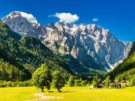 zelen travnik in zasenžene gore v ozadju