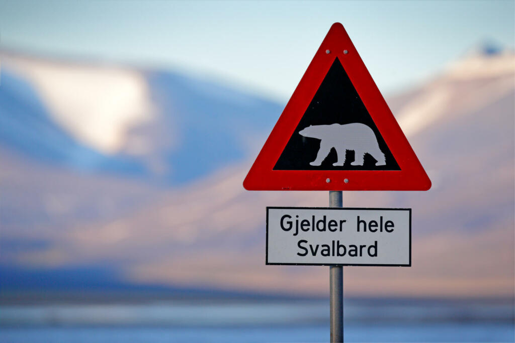Red road traffic sign with Polar bear. âGjelder Hele Svalbardâ means âOver All of Svalbard (watch out for polar bears)â. Polar bear with snowy mountain, Svalbard. Travelling in the Arctic.