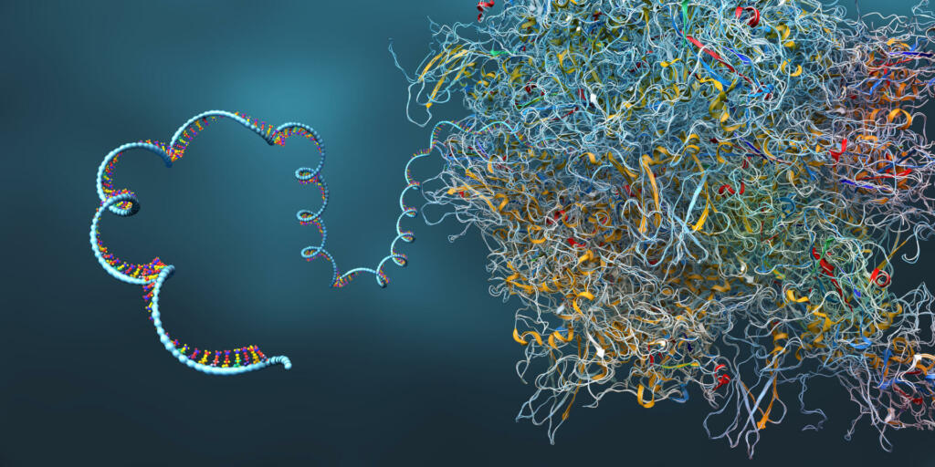 Ribosome as part of an biological cell constructing messenger RNA molecule - 3d illustration