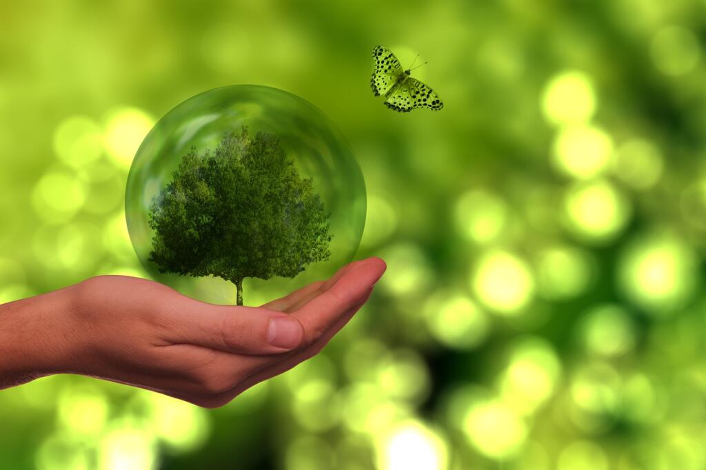 tree, butterfly, globe