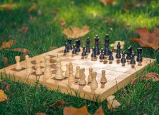 Zaradi onesnaženega zraka slabše igramo šah Wooden chessboard and chess pieces on green grass covered with dry yellow leaves in the city park. Shallow depth of field. Focus on white pieces.