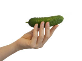 Young woman holding a cucumber. Green tasty vegetable in hand. Healthy diet food. Natural ingredient for dishes and salad. Photo isolated on white background