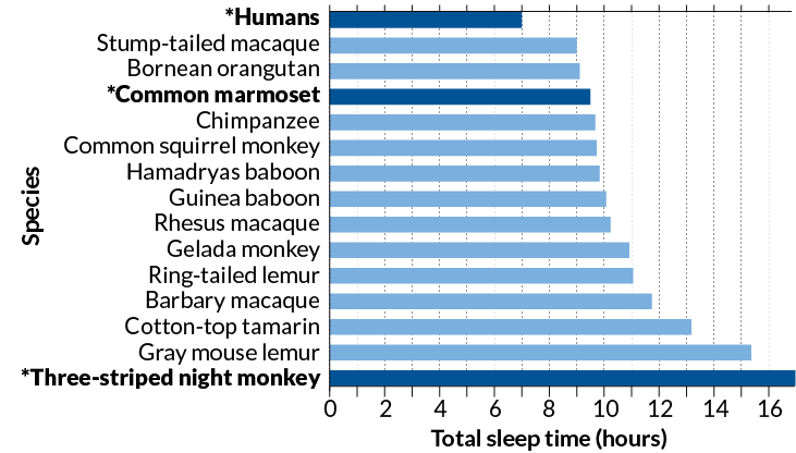 Povprečen čas spanja prvakov