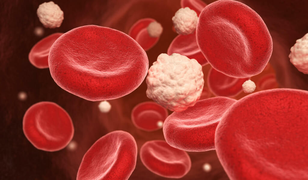 Krvne celice in glukoza v žili.