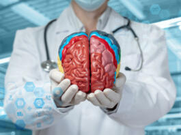 Concepts of studying of brain functions. Doctor showing brain on blurred background.