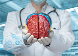 Najden najstarejši dokaz trepanacije lobanje, možganske operacije Concepts of studying of brain functions. Doctor showing brain on blurred background.