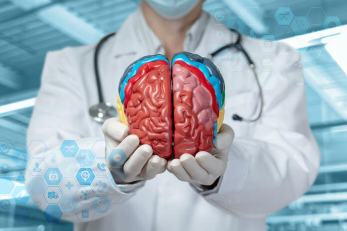 Concepts of studying of brain functions. Doctor showing brain on blurred background.