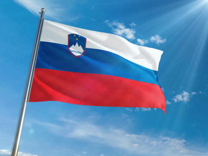 Slovenska zastava na drogu.