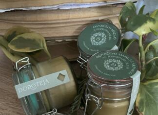 Edini študij, ki združuje kreativo in management je Dizajn management na Fakulteti za dizajn – podaljšan rok za vpis do 26. 4. 2023! Ognjičevo mazilo