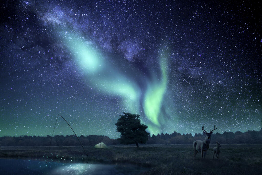 A fantasy landscape with a star filled sky lit by northern lights, a deer and a fawn is standing to the right in the picture. A composition of multiple different images.