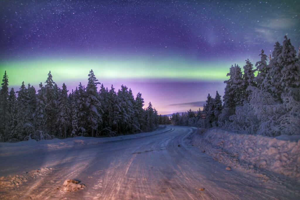 A stunning shot of the Aurora Borealis illuminating a snowy forest