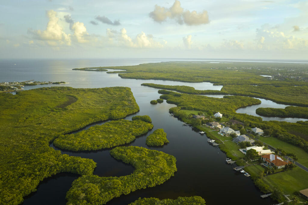 Aerial view of rural private houses in remote suburbs located near Florida wildlife wetlands with green vegetation on sea bay shore. Living close to nature concept.