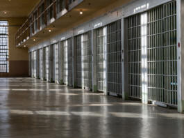 Bars to prison or jail cells.